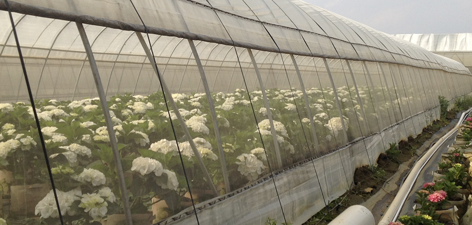 Inicio 6 riegos-amazonas-03